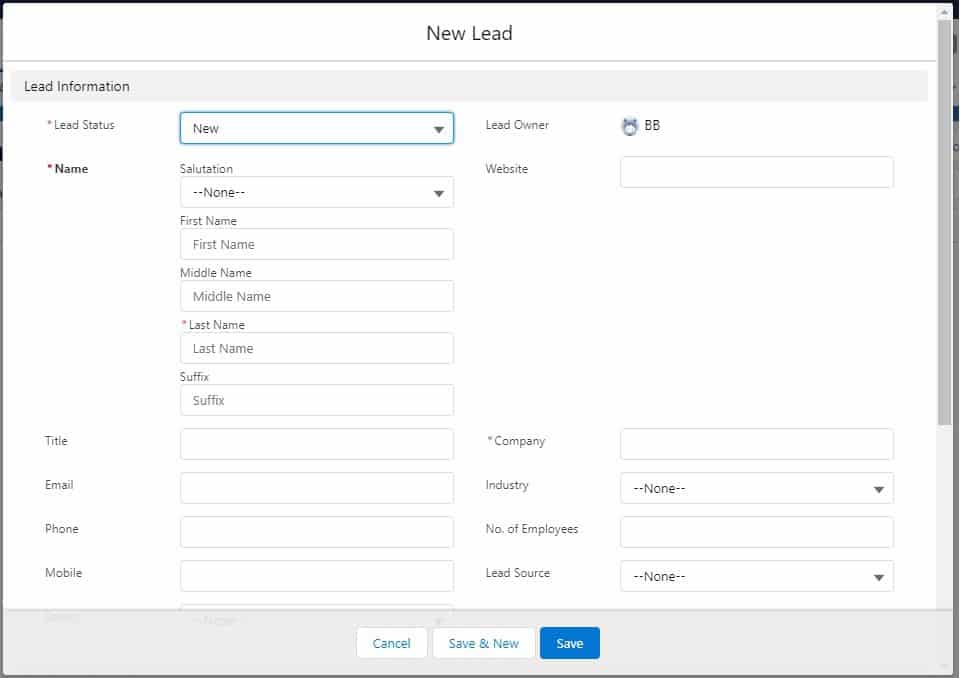 Salesforce: Manual Adding Of Leads