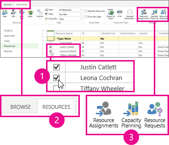 MS Project Guide: Capacity Planning View