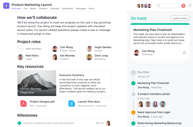 Asana Project Overview