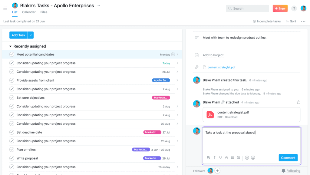 Asana Task Comments