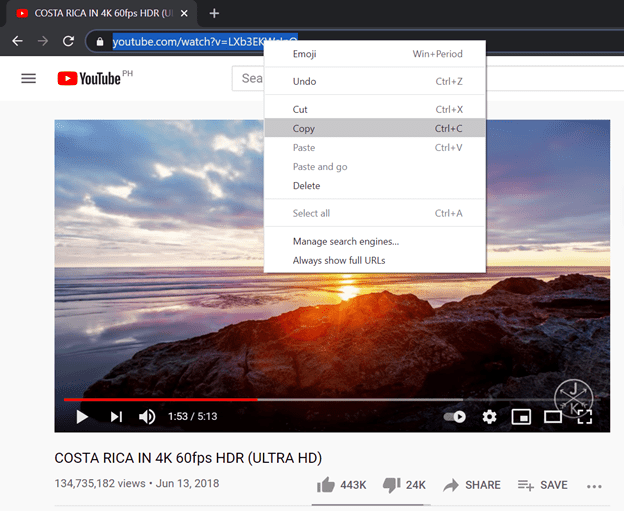 Copy the 4K YouTube Video URL