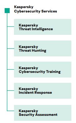 Kaspersky Guide: Cybersecurity services