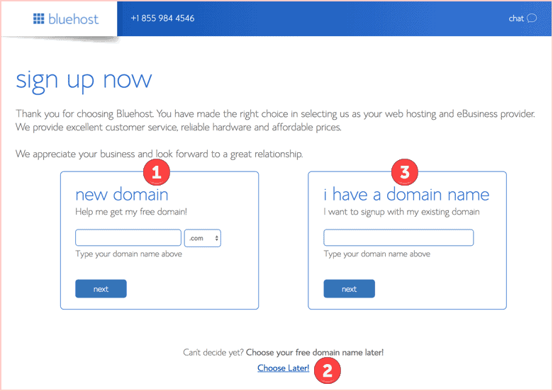 Bluehost free domain or transfer existing one