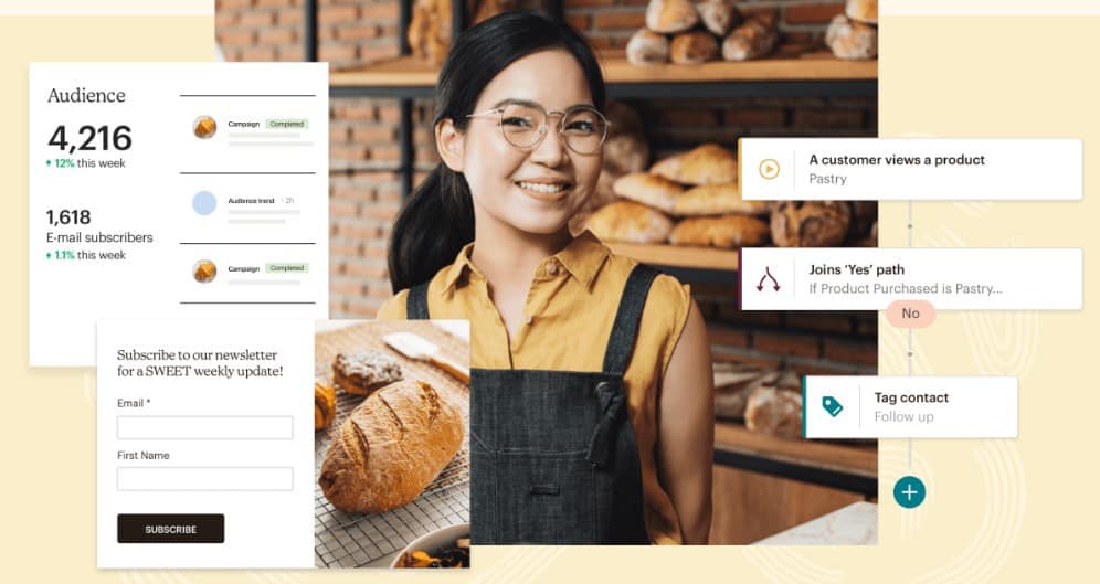 Mailchimp audience management