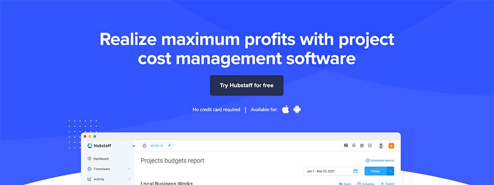 Project Cost Management Software