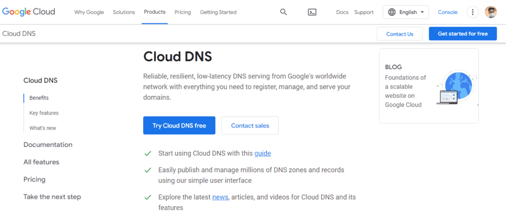 dns provider - google cloud dns