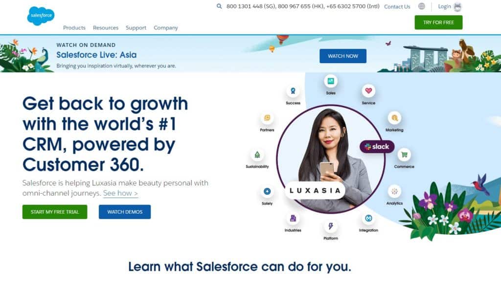 Salesforce AI powered search tool