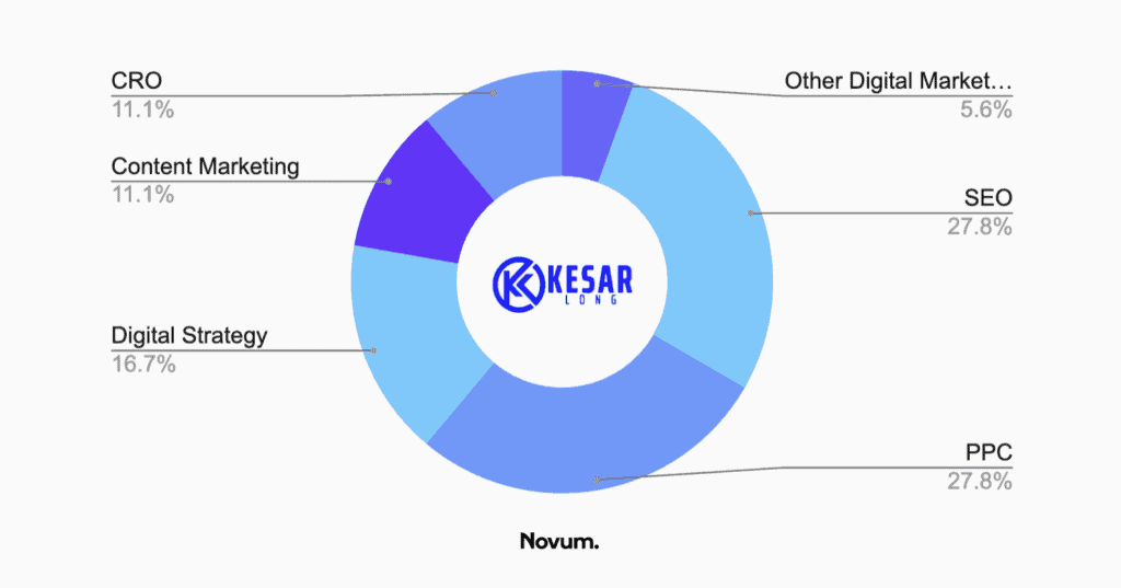 seo gainsville - kesar long chart